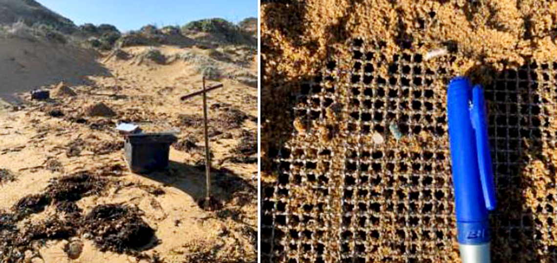 Micro plastics have gained more attention in the last 10 years.