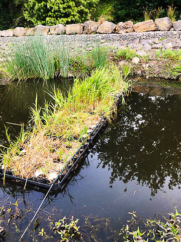 Wetland Restore modular revegetation units